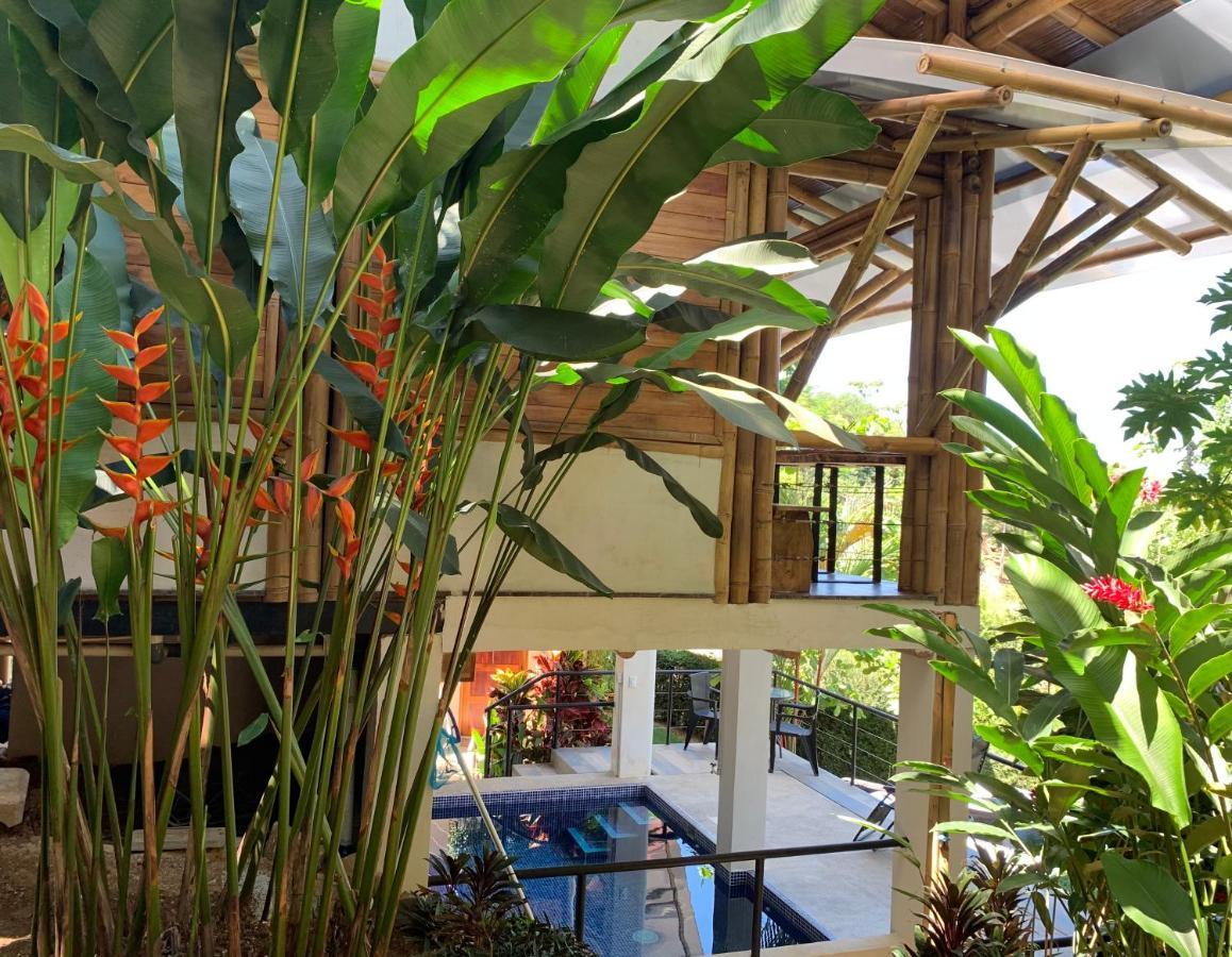 Bambura Hermosa Villas أوفيتا المظهر الخارجي الصورة